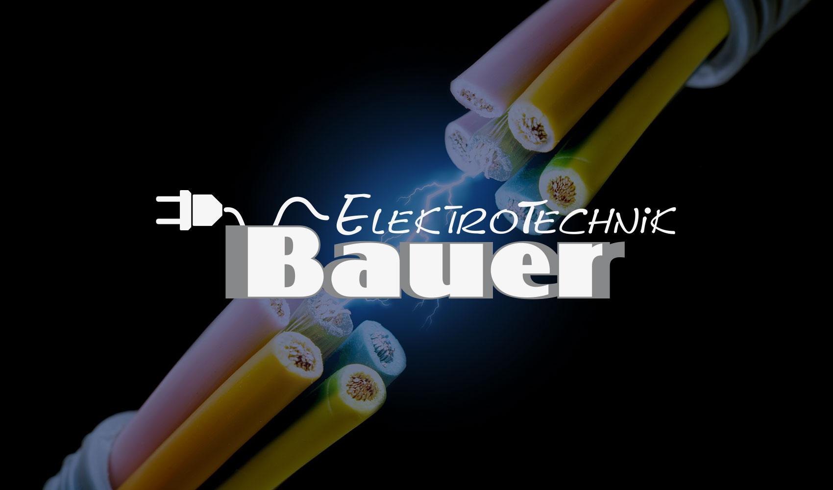 Elektrotechnik Bauer